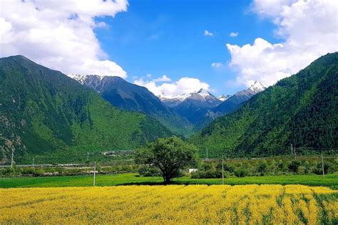 缺土 五行|五行缺土，如何补充与调整？